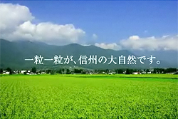 一粒のお米(続編)CM