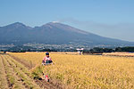 東信地域（長野県佐久市周辺）