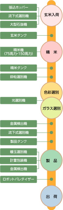 お米が出来るまで