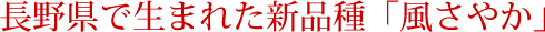 長野県で生まれた新品種「風さやか」